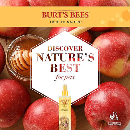 Burt's Bees for Pets Waterless Shampoo Spray for Dogs with Apple and Honey, 2pk, 99.1% Natural Origin Formulas, Waterless Dog Shampoo - Gentle Dry Shampoo for Dogs, Best Dog Shampoo, 2pk, 10 oz