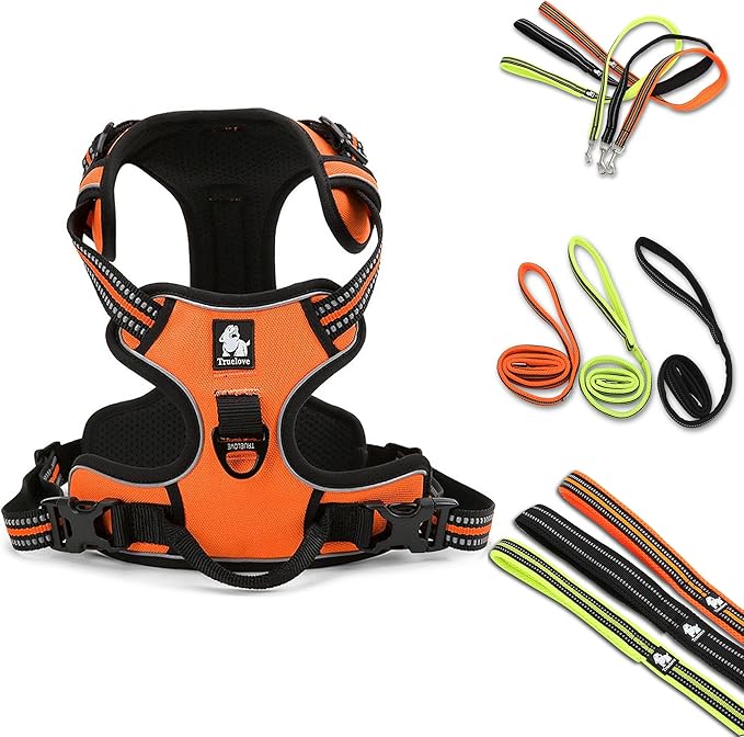 Reflective Nylon No-Pull Dog Harness and Training Leash Set Padded Durable Adjustable(XS, Orange Set)