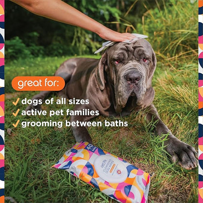 Pet Life Unlimited Pet Wipes for Dogs, Dog Cleaning Wipes - Plant-Based Dog Wipes with Moisturizing Aloe Leaf & Calendula - Made in The USA - Bergamot Apple Scent Dog Grooming Wipes - 40ct (Pack of 3)