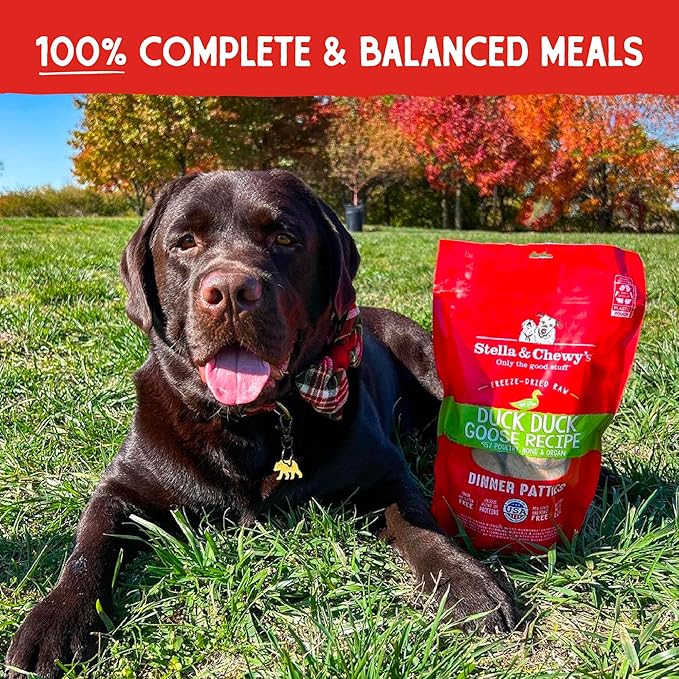 Stella & Chewy's Freeze Dried Raw Dinner Patties – Grain Free Dog Food, Protein Rich Duck Duck Goose Recipe – 5.5 oz Bag
