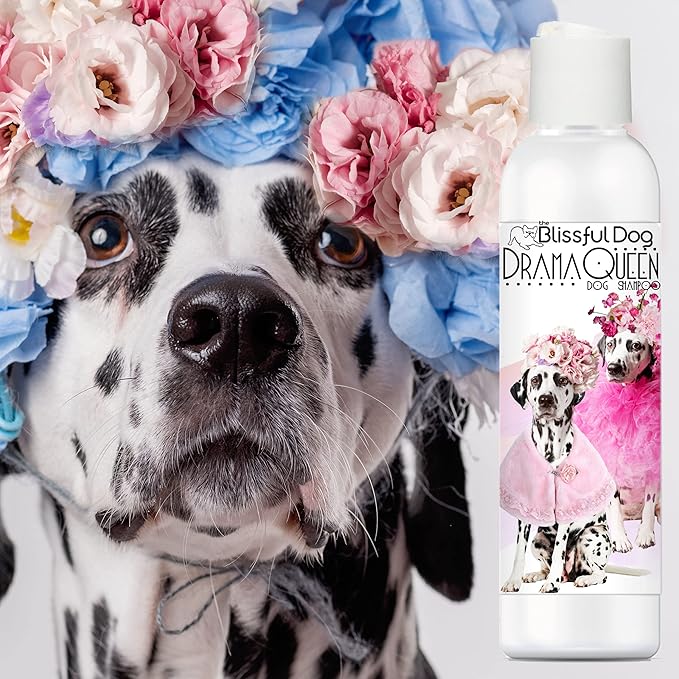 The Blissful Dog Dalmatian Drama Queen Dog Shampoo, 8 oz.