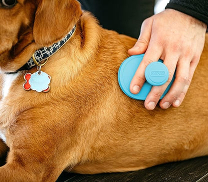 Dexas BrushBuster Silicone Dog Grooming Brush, Blue