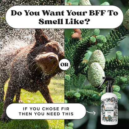 Pet-Pourri Dog Coat Deodorizing Spray – Plant Derived Ingredients – Vet Recommended – Fir + Amber + Cedarwood – Paraben & Sulfate-Free - Grooming perfume Spray for Dog Odor