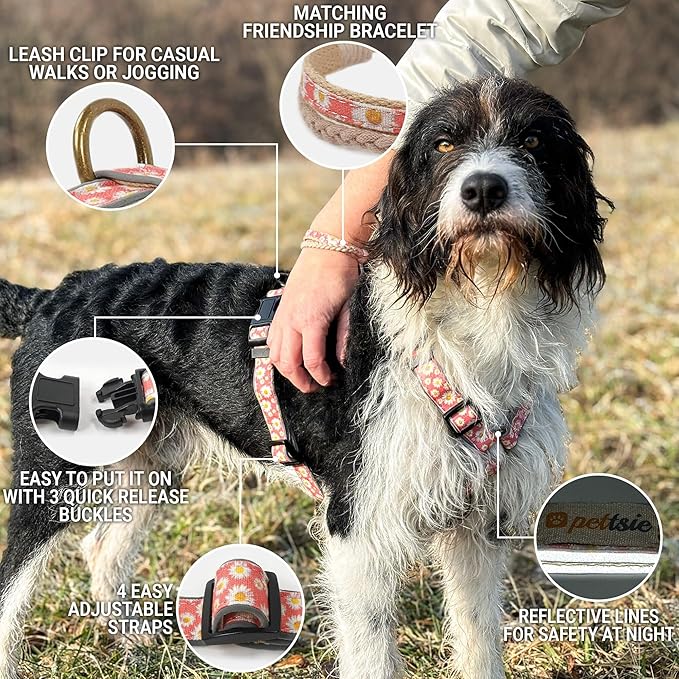 Pettsie No-Pull Dog Harness Reflective, 4 Adjustable Straps, Easy Control with 2 Leash Clips for Walking or Training, Matching Friendship Bracelet, Soft and Durable Hemp for Sensitive Skin, Gift Box