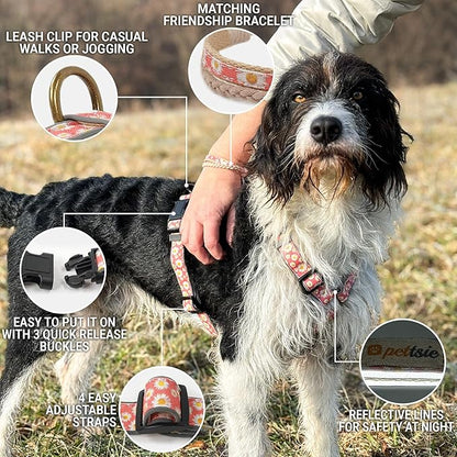 Pettsie No-Pull Dog Harness Reflective, 4 Adjustable Straps, Easy Control with 2 Leash Clips for Walking or Training, Matching Friendship Bracelet, Soft and Durable Hemp for Sensitive Skin, Gift Box