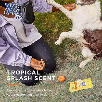 Wet Ones Mixed 13 Piece Bundle of Human & Pet Wet Wipes, Tropical Splash Scent| 10 Packs Antibacterial Wipes, 20 Ct Plus 3 Cannisters for Pets Multi-Purpose Dog Wipes, 50ct