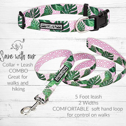 Lucky Love Dog, Tropical Matching Dog Collar & Leash Set, Soft & Comfy, Vivid Pink Color Collar and Leash for Female Male Dogs - (Large, Laguna Combo)